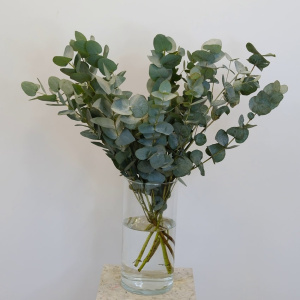 Зелёный букет - эвкалипт, букет для интерьера