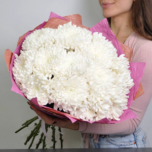 Белые хризантемы, 15 штучек