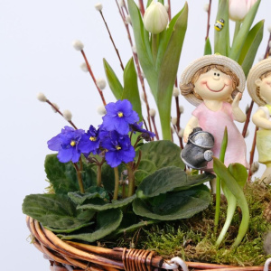 Букет на пасху! Луковичные тюльпаны, фиалка и верба в корзинке с сувенирами