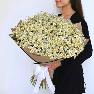 Охапка ромашек! Ромашки, 51 штучка букет с вазой