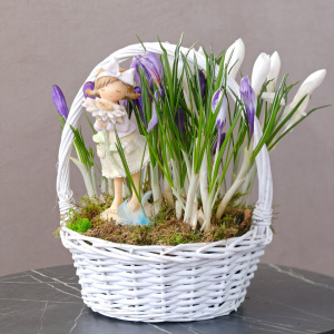 Садик с первоцветами (крокусы) и сувениром в корзинке "Девочка с цветком"