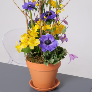 Анемоны и цветущие ветки форзиции в композиции "Волшебный сад"