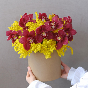 Бордовые орхидеи и ароматная мимоза в коробке "Медовая орхидея"