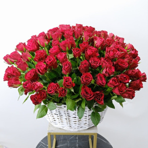 Бордовые (красные) розы в корзине "Африканская страсть", 151 штучка