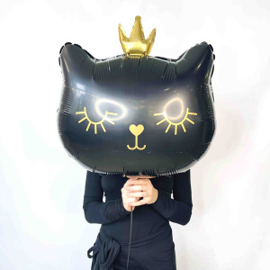 Сет шаров «Принцесса Кошка, с днём рождения!»