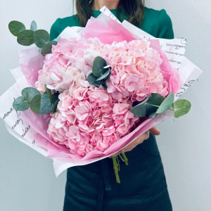 Розовые пушистые гортензии с эвкалиптом, 3 штучки