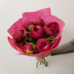 Бордовые пионы, 7 штучек