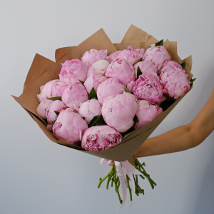 Пионы ароматные Сара Бернар ОТБОРНЫЕ, 25 штучек