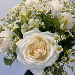 Ромашки и пионовидные розы в садовом букете
