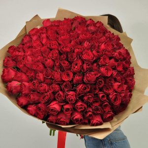 Бордовые (красные) розы в букете "Африканская страсть", 151 штучка