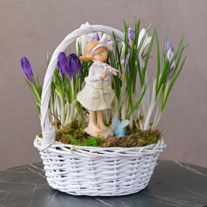 Садик с первоцветами (крокусы) и сувениром в корзинке "Девочка с цветком"