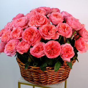 Пионовидные крупные розы в корзине, 51 штучка