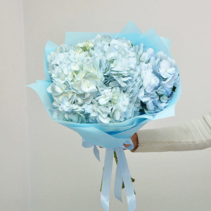 Гортензия 5 штучек, "Голубое облачко"