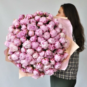 101 пион Сара Бернар