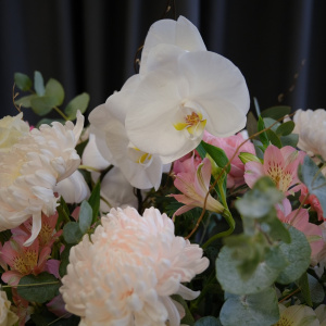 Пионовидные розы, орхидея фаленопсис и нежные хризантемы в большой коробке