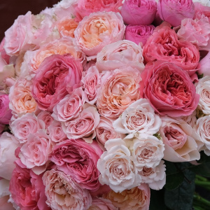 Пионовидные розы в букете "Цветочный микрокосмос"