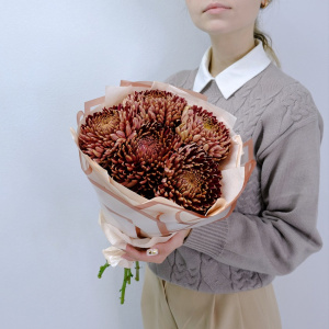 Сезонные хризантемы Бигуди - оттенок шоколад, 5 штучек