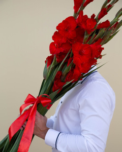 Красные гладиолусы, 5 шт
