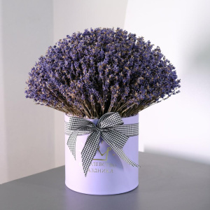 Лаванда в сиреневой коробочке