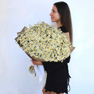 Охапка ромашек! Ромашки, 51 штучка букет с вазой