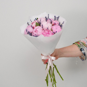 Пионы розовые Сара Бернар, 9 штучек с лавандой