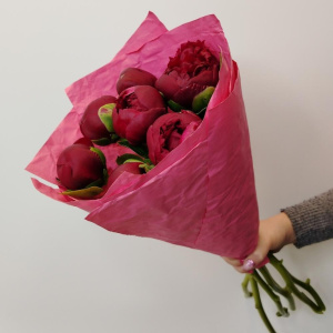 Бордовые пионы, 7 штучек