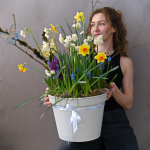 Нарциссы, мускари и гиацинты в большом кашпо «Облачный танцор». Луковичные первоцветы