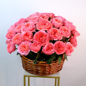 Пионовидные крупные розы в корзине, 51 штучка