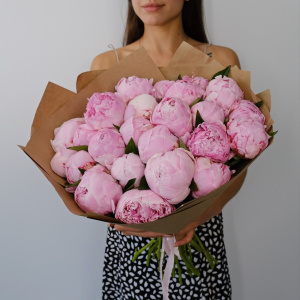 Пионы ароматные Сара Бернар ОТБОРНЫЕ, 25 штучек