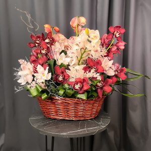 Орхидеи Цимбидиум в роскошной интерьерной корзине