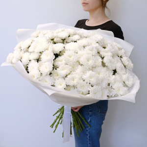 Хризантемы белые пушистые, 25 штучек
