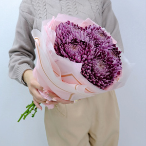 Сезонные хризантемы Бигуди - оттенок винный, 5 штучек