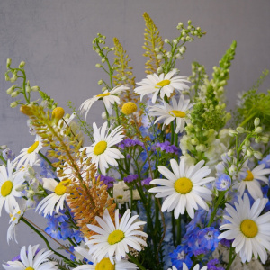 Ромашки и дельфиниум в большом букете в коробке "Моя бесконечность"