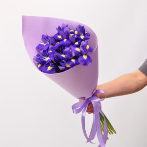 Невероятно яркие ирисы, 11 штучек