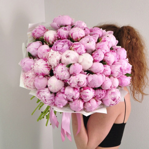 51 пион Сара Бернар (крупные пионы)