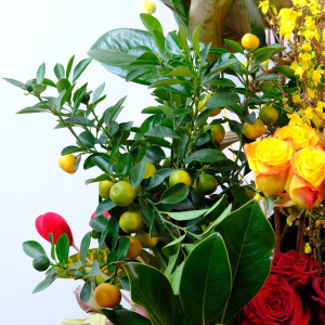 Подарочная корзина  - мандариновое дерево с цветами