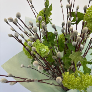 Букет на Пасху - Верба и вибурнум