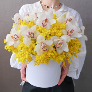 Белые орхидеи и ароматная мимоза в коробке "Медовая орхидея"