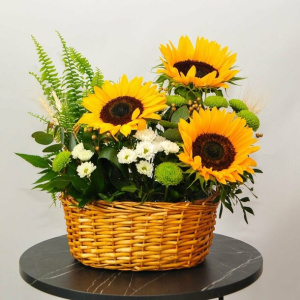Лето в корзинке. Шикарные подсолнухи, океан зелени и нефролепис в горшочке