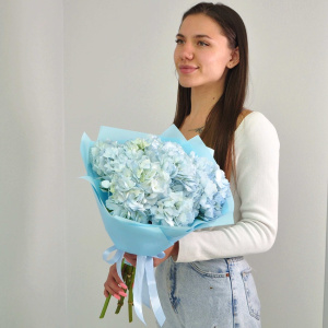 Гортензия 5 штучек, "Голубое облачко"