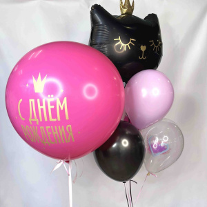 Сет шаров «Принцесса Кошка, с днём рождения!»