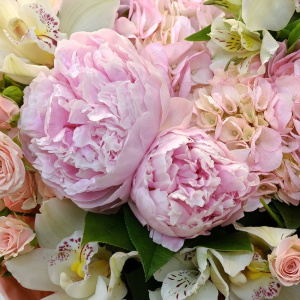Пионы, орхидея и гортензия в большом пышном букете