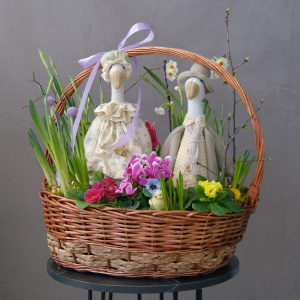 Садик с первоцветами в корзине: мускари, примула, нарциссы и цикламен "Весенние гуси"