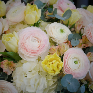 Ранункулюсы и тюльпаны в большом букете в коробке "Сад грез"