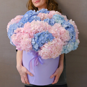 Гортензия, 21 штучка. Большой букет в коробке