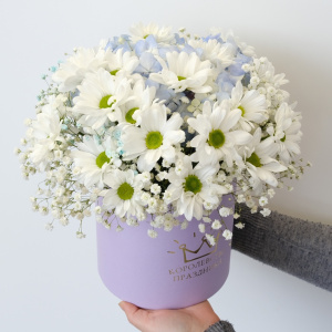 Хризантема, гипсофила и голубая гортензия в милой сиреневой коробочке