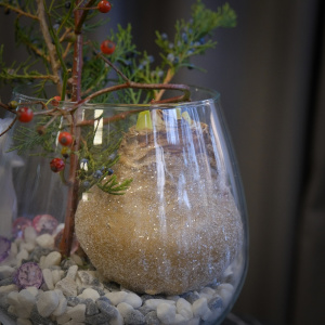 Луковица амариллиса, шиповник и можжевельник в круглой вазе