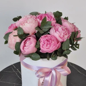 Пионы Сара Бернар, 15 штук в коробке