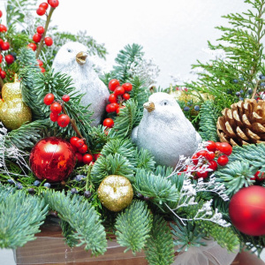 Новогодняя композиция из нобилиса «Ланфрен Ланфра»
