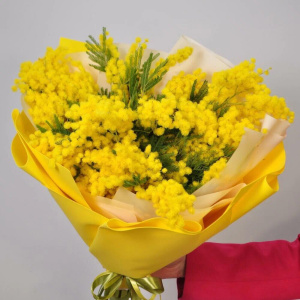 Монобукет "Итальянская мимоза"